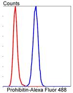 PHB1 Antibody in Flow Cytometry (Flow)