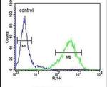 RAB3IL1 Antibody in Flow Cytometry (Flow)