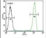 RABGAP1 Antibody in Flow Cytometry (Flow)