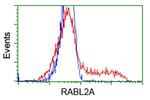 RABL2A Antibody in Flow Cytometry (Flow)