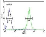 RAD26L Antibody in Flow Cytometry (Flow)