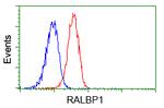RALBP1 Antibody in Flow Cytometry (Flow)