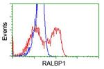 RALBP1 Antibody in Flow Cytometry (Flow)
