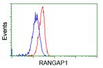 RANGAP1 Antibody in Flow Cytometry (Flow)