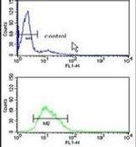 RAN Antibody in Flow Cytometry (Flow)