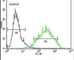 RAN Antibody in Flow Cytometry (Flow)