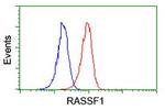 RASSF1 Antibody in Flow Cytometry (Flow)