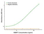 RBBP7 Antibody in ELISA (ELISA)