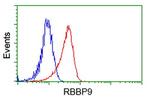 RBBP9 Antibody in Flow Cytometry (Flow)