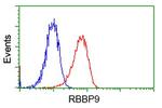 RBBP9 Antibody in Flow Cytometry (Flow)