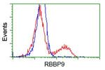 RBBP9 Antibody in Flow Cytometry (Flow)