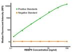 RBBP9 Antibody in Luminex (Luminex)