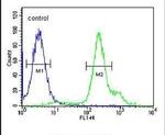 RBM24 Antibody in Flow Cytometry (Flow)