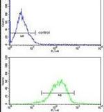 RBM3 Antibody in Flow Cytometry (Flow)