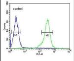 RBM43 Antibody in Flow Cytometry (Flow)