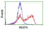 REEP5 Antibody in Flow Cytometry (Flow)