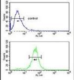 RERE Antibody in Flow Cytometry (Flow)
