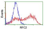 RFC2 Antibody in Flow Cytometry (Flow)