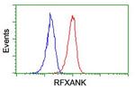 RFXANK Antibody in Flow Cytometry (Flow)