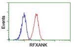 RFXANK Antibody in Flow Cytometry (Flow)