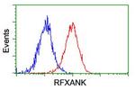RFXANK Antibody in Flow Cytometry (Flow)