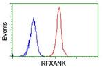 RFXANK Antibody in Flow Cytometry (Flow)