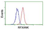 RFXANK Antibody in Flow Cytometry (Flow)