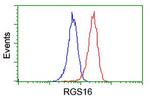 RGS16 Antibody in Flow Cytometry (Flow)