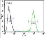 ARHGAP19 Antibody in Flow Cytometry (Flow)