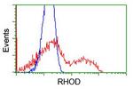 RHOD Antibody in Flow Cytometry (Flow)