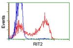 RIT2 Antibody in Flow Cytometry (Flow)