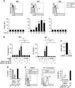 CD11b Antibody in Flow Cytometry (Flow)