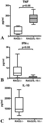 IFN gamma Antibody in ELISA (ELISA)