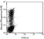 IFN gamma Antibody in Flow Cytometry (Flow)