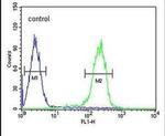 RNF185 Antibody in Flow Cytometry (Flow)
