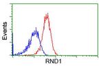 RND1 Antibody in Flow Cytometry (Flow)