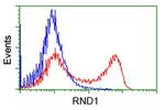 RND1 Antibody in Flow Cytometry (Flow)