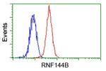RNF144B Antibody in Flow Cytometry (Flow)