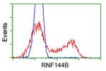 RNF144B Antibody in Flow Cytometry (Flow)