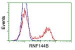 RNF144B Antibody in Flow Cytometry (Flow)