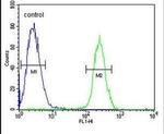 RNF8 Antibody in Flow Cytometry (Flow)