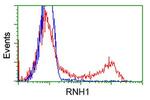 RNH1 Antibody in Flow Cytometry (Flow)