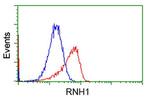 RNH1 Antibody in Flow Cytometry (Flow)