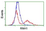 RNH1 Antibody in Flow Cytometry (Flow)