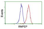 RNPEP Antibody in Flow Cytometry (Flow)