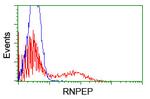 RNPEP Antibody in Flow Cytometry (Flow)