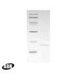 HIV1 p17 Protein in Western blot control (WB Ctrl)