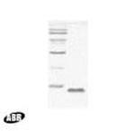 HIV1 p15 Protein in Western blot control (WB Ctrl)