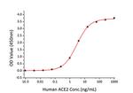 SARS-CoV-2 Spike Protein (RBD) (aa319-541), His Tag Protein in ELISA standard (ELISA Std)