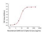 SARS-CoV-2 Spike Protein S1 (aa11-682), hFc-His Tag Protein in ELISA standard (ELISA Std)